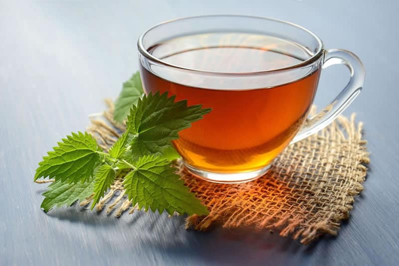 Herbal-Medicine-v2 Herbal Medicine